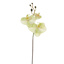 ORCHID W/3 FLOWERS 63CM GREEN