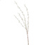 LARGE PUSSY WILLOW 122CM GREY