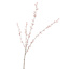 LARGE PUSSY WILLOW 122CM PINK