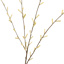 LARGE PUSSY WILLOW 122CM YELLOW