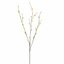 PUSSY WILLOW 80CM YELLOW