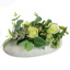 ROSE ARR IN OVAL PLANTER 32X15X20CM GREEN