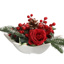 ROSE BERRY ARR IN STAR PLATE 35X18CM RED
