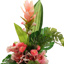 ORCHID LILY ARR IN VASE 30X55CM PINK