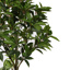 SHIKIBA TREE 120CM GREEN