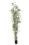 MINI BAMBOO TREE X 10 170CM GREEN