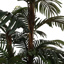 ROBELLINI PALM TREE 180CM GREEN