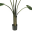 TRAVELLERS PALM 110CM GREEN