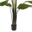 TRAVELLERS PALM 140CM GREEN