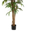 PACIFIC WEEPING FICUS 210CM GREEN