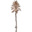 SMALL PINE CONE ON STEM 45CM CHAMPAGNE