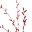 PUSSY WILLOW GLITTER 122CM RED